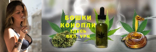 не бодяженный Надым