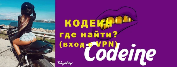прущие грибы Чердынь