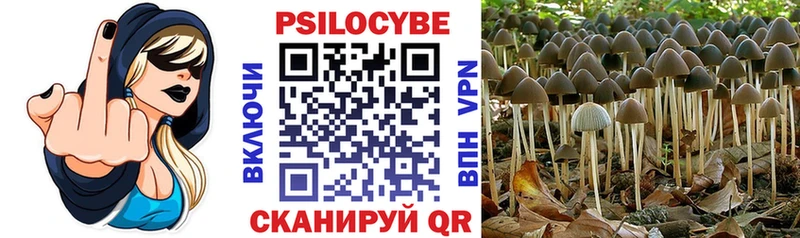 Галлюциногенные грибы Psilocybe  мега ONION  Солигалич 